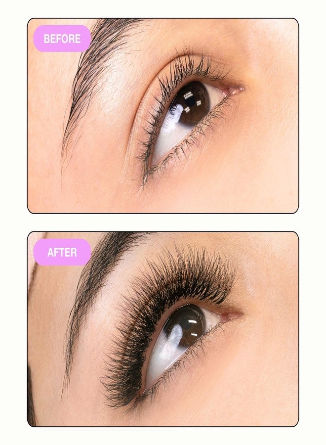 Curacoro Camellia Promade Fans - Handmade Volume Promade Eyelashes Fans 5D to 10D, C CC D Curl, Thickness 0.03~0.07mm, 7-14mm Mix Lengths, Professional Long-Lasting Promade Lash Fans - Image 5